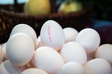 女(nǚ)性養顔多(duō)吃(chī)蛋類食品