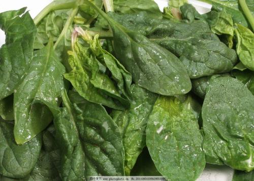 	菠菜根别丢能(néng)補鐵(tiě)解疲勞